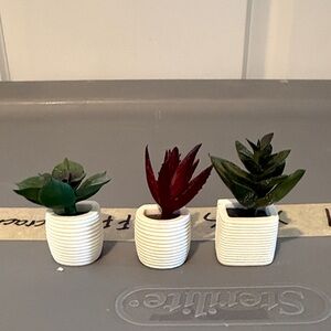 Set of Three Mini Magnetic Faux Succulents